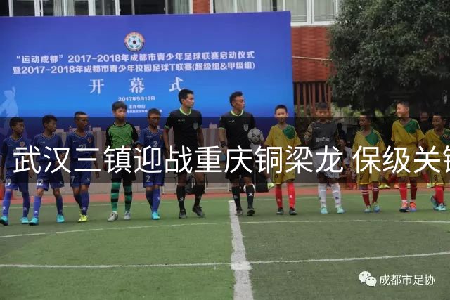 武汉三镇迎战重庆铜梁龙 保级关键战剑指赛季首度连胜