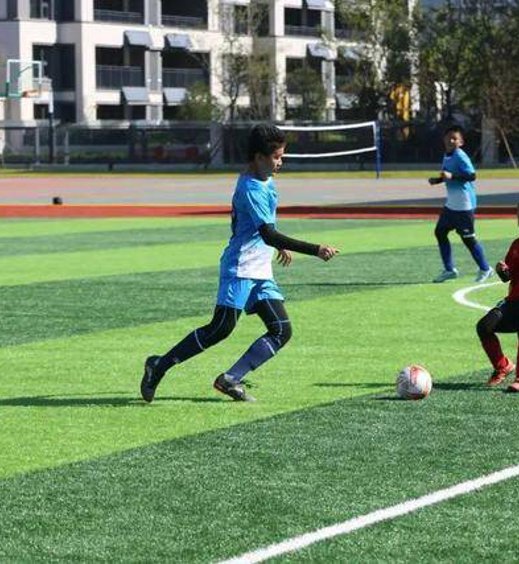 网站介绍