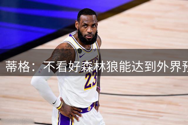 蒂格：不看好森林狼能达到外界预期 他们的磨合成本很高